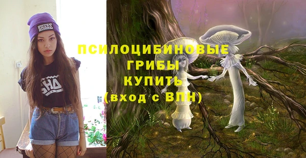 винт Алексеевка