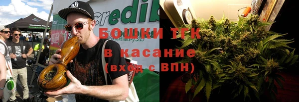 соль ск Алексин