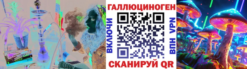 купить   Новоалександровск  Галлюциногенные грибы мицелий 