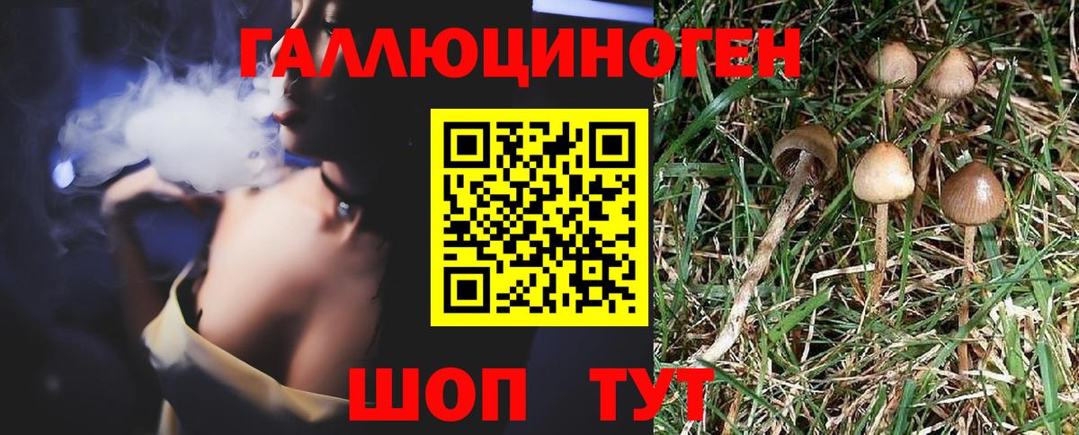Псилоцибиновые грибы Magic Shrooms Новоалександровск
