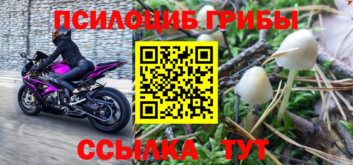 Галлюциногенные грибы мухоморы  Вход с VPN  Новоалександровск 